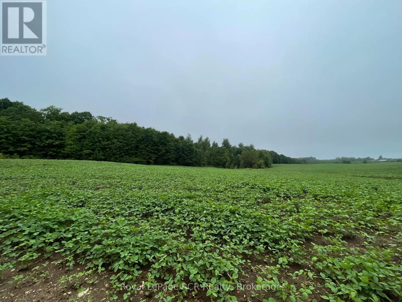 714261 Baseline Road, Grey Highlands, Ontario N0C 1E0