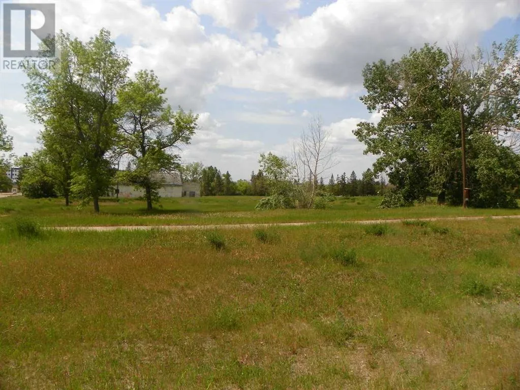 Commercial Mix for rent: 716, 3 Street, Three Hills, Alberta T0M 2A0