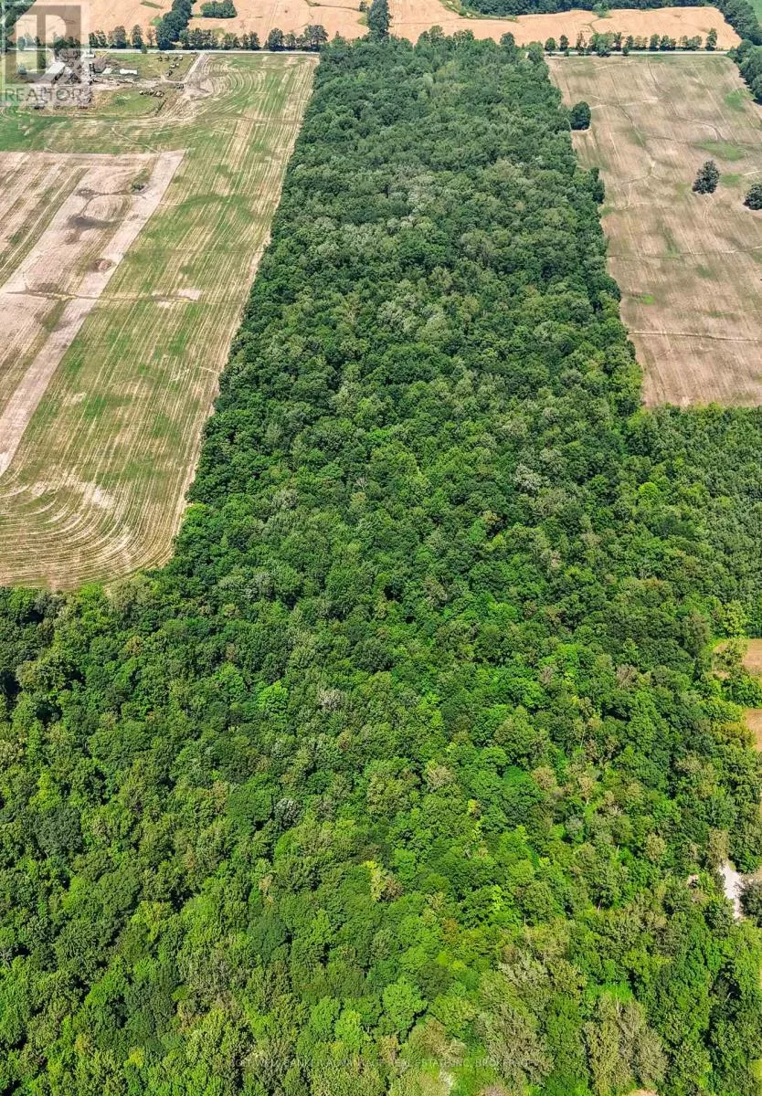 73325 Henderson Road, Wainfleet, Ontario L0R 2J0