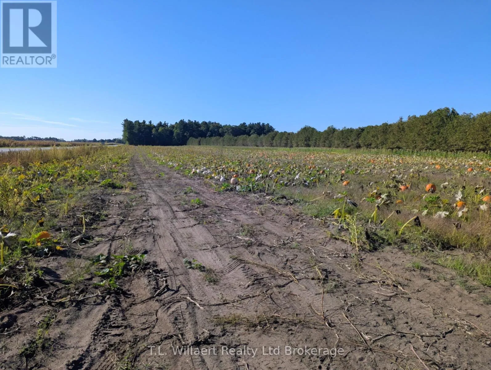 7343 Plank Road, Bayham, Ontario N0J 1Y0
