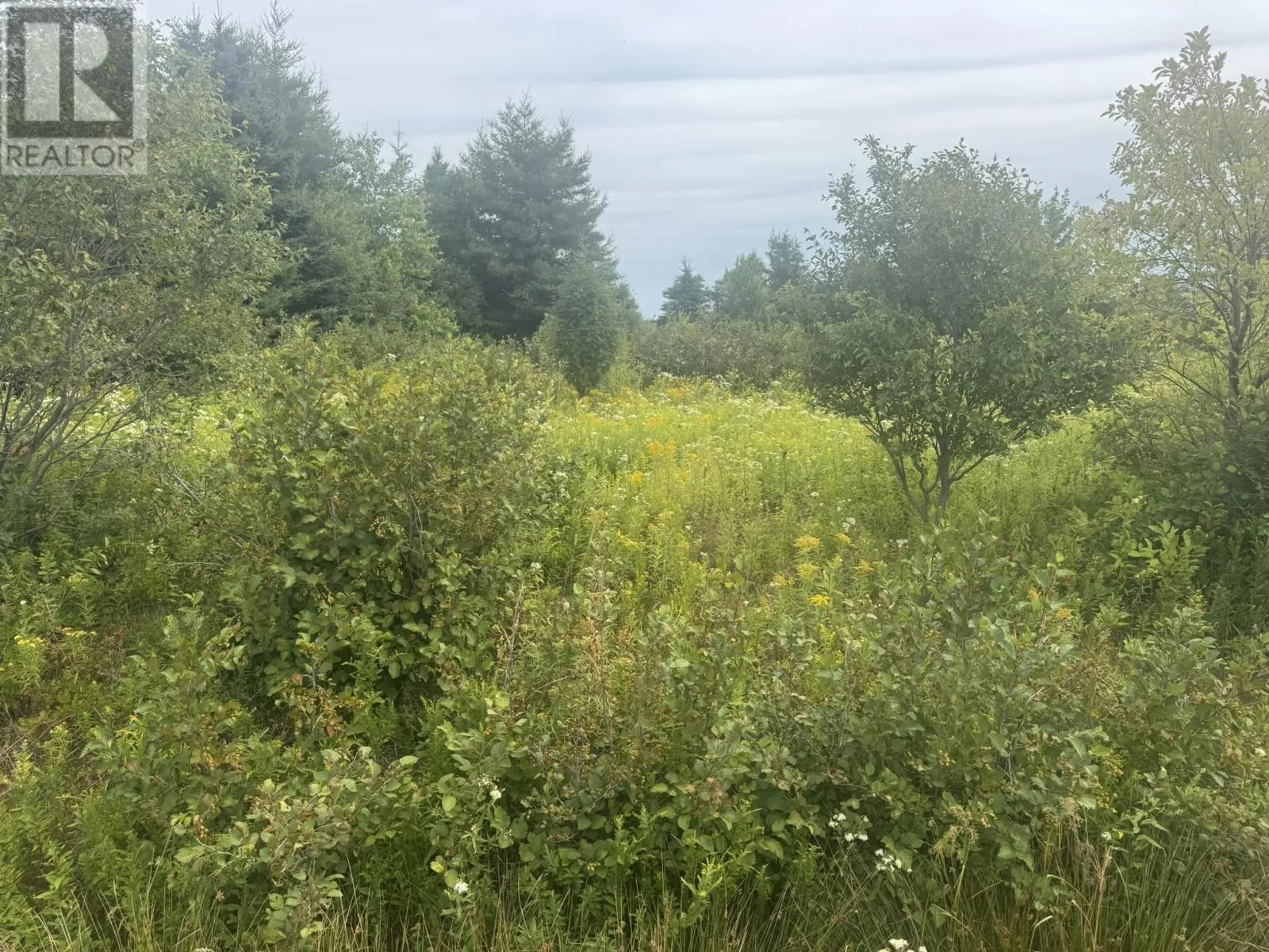 735 Clements Road, White Sands, Prince Edward Island C0A 1W0