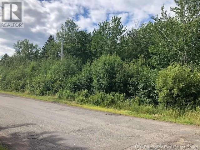 740 Des Dallaires, Sainte-Marie-De-Kent, New Brunswick E4S 1S8