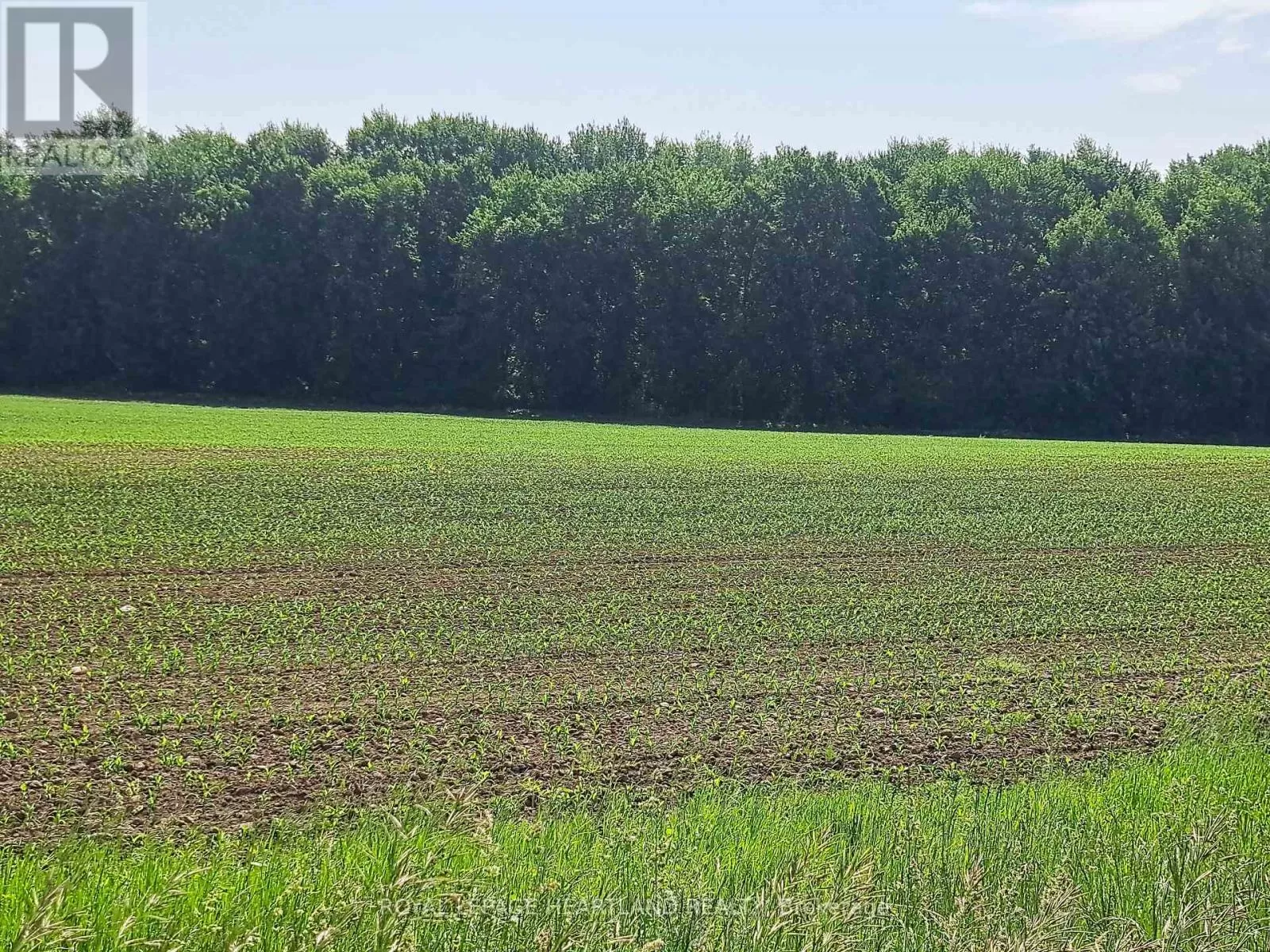 Unknown for rent: 74018 Babylon Line, Bluewater, Ontario N0M 2T0