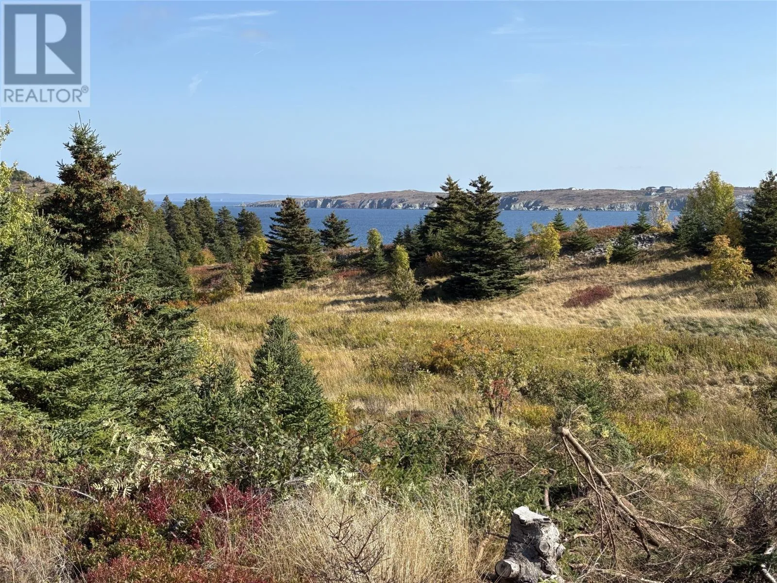 742-744 Water Street, Bay Roberts, Newfoundland & Labrador A0A 1G0