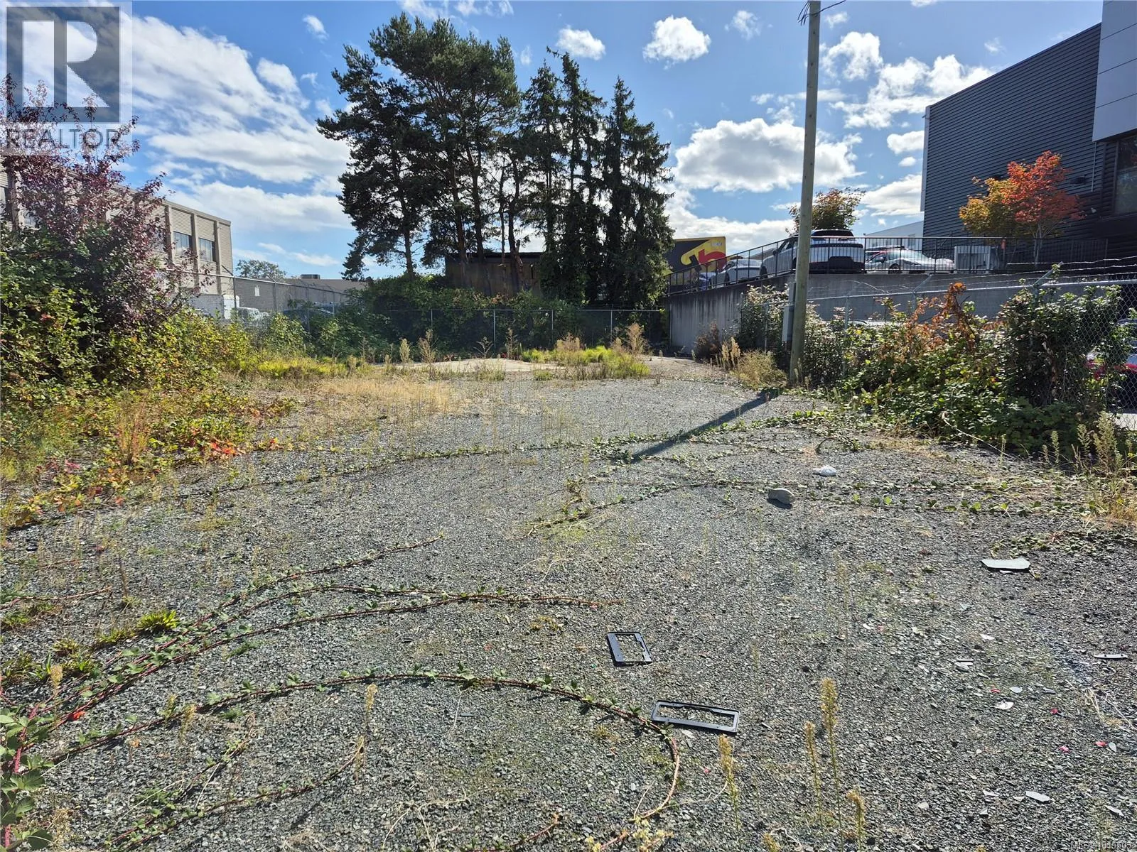 767 Audley St, Saanich, British Columbia V8X 2V4