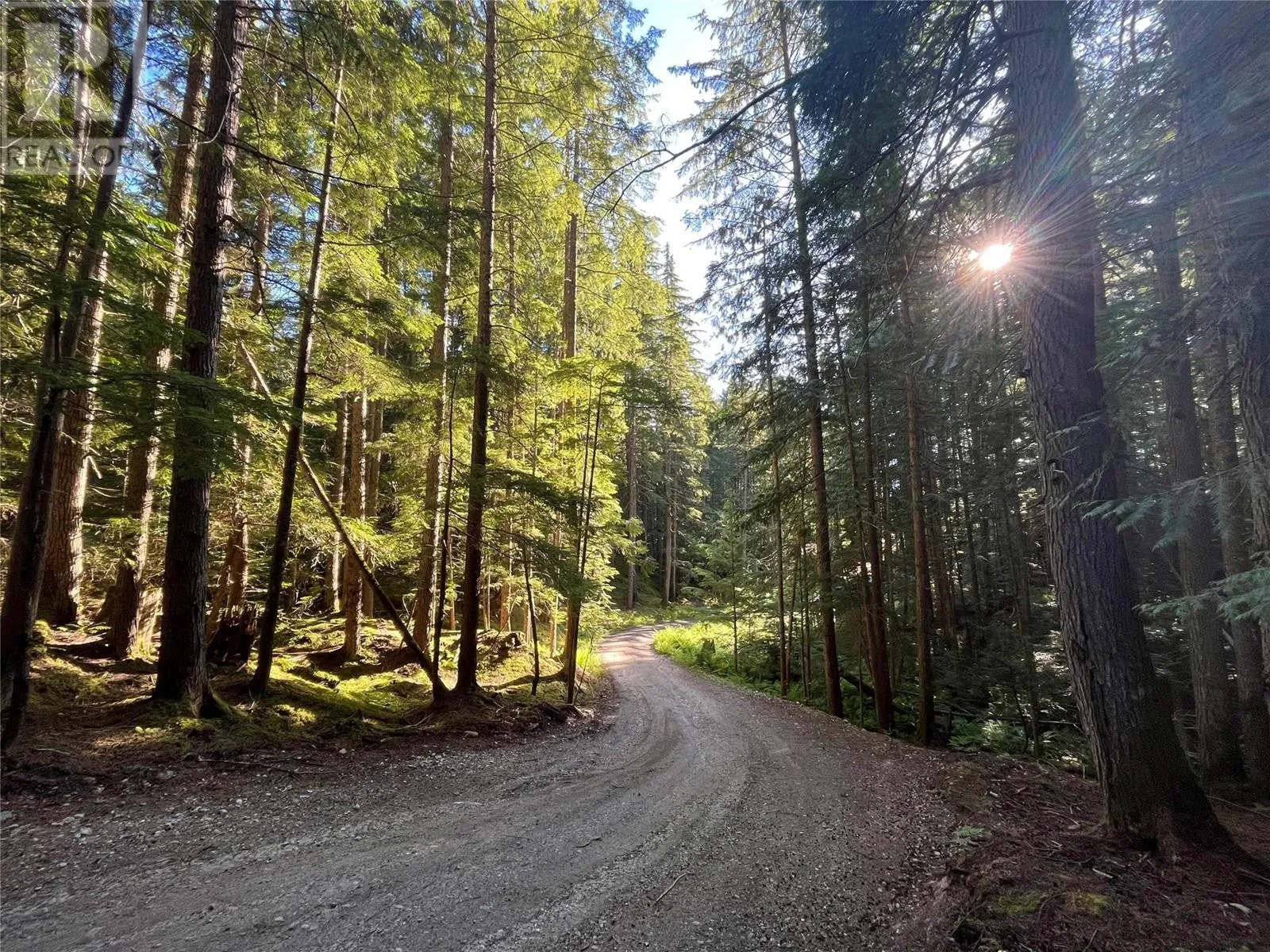 Other for rent: 769 Beech Road, Nakusp, British Columbia V0G 1R1