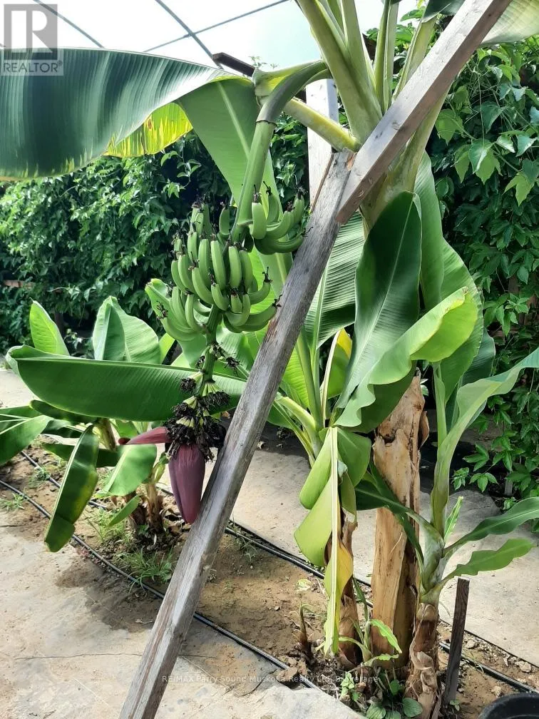 House for rent: 791 Clear Lake Road, Parry Sound Remote Area, Ontario P0H 1A0