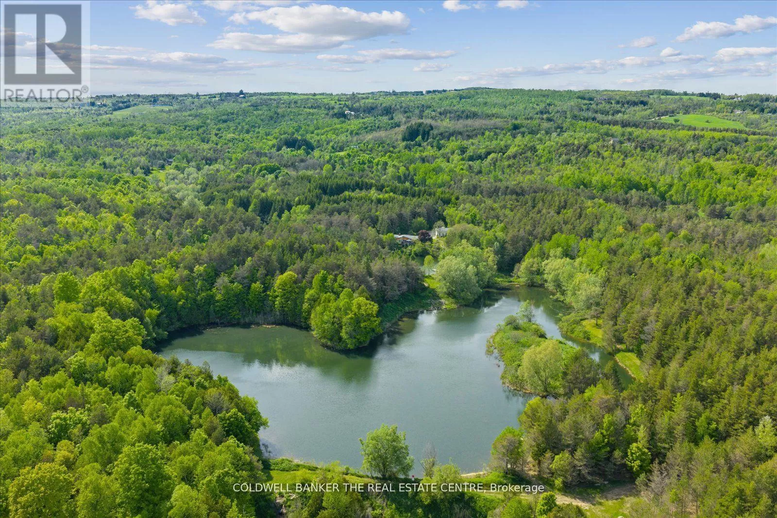 House for rent: 798213 3rd Line, Mulmur, Ontario L9V 0H7