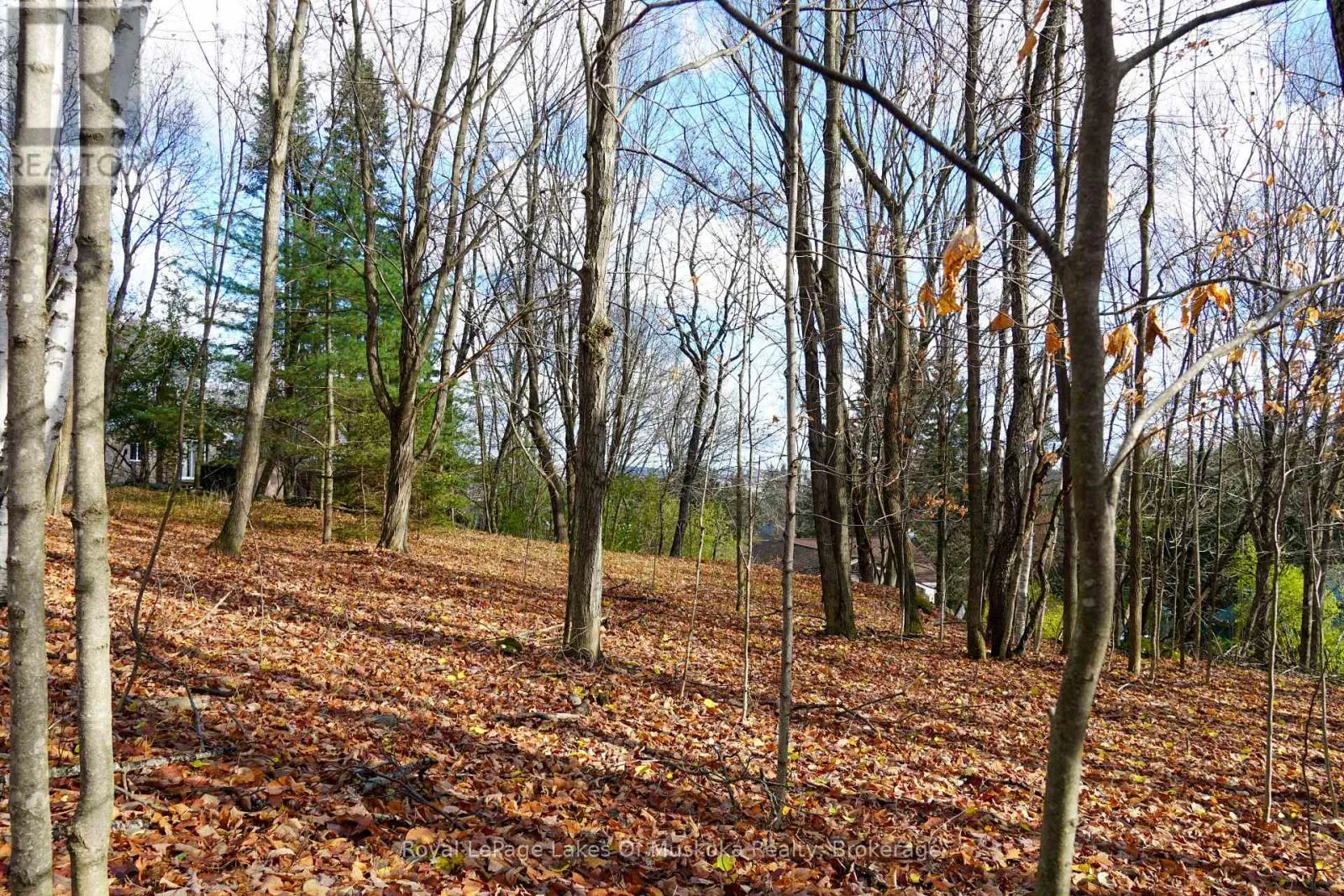 8 Rice Lane, Huntsville, Ontario P1H 1V4