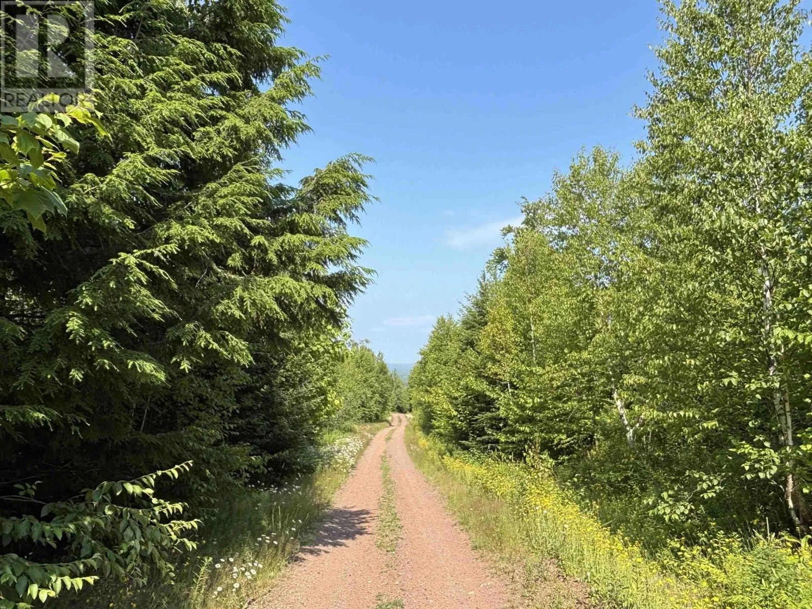 80 Acres Scotsburn Road, West Branch, Nova Scotia B0K 1R0