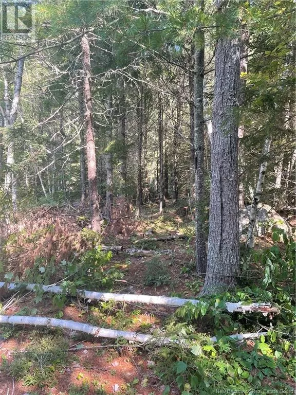 Recreational for rent: 80 Whittier Road, Rollingdam, New Brunswick E5A 2K4