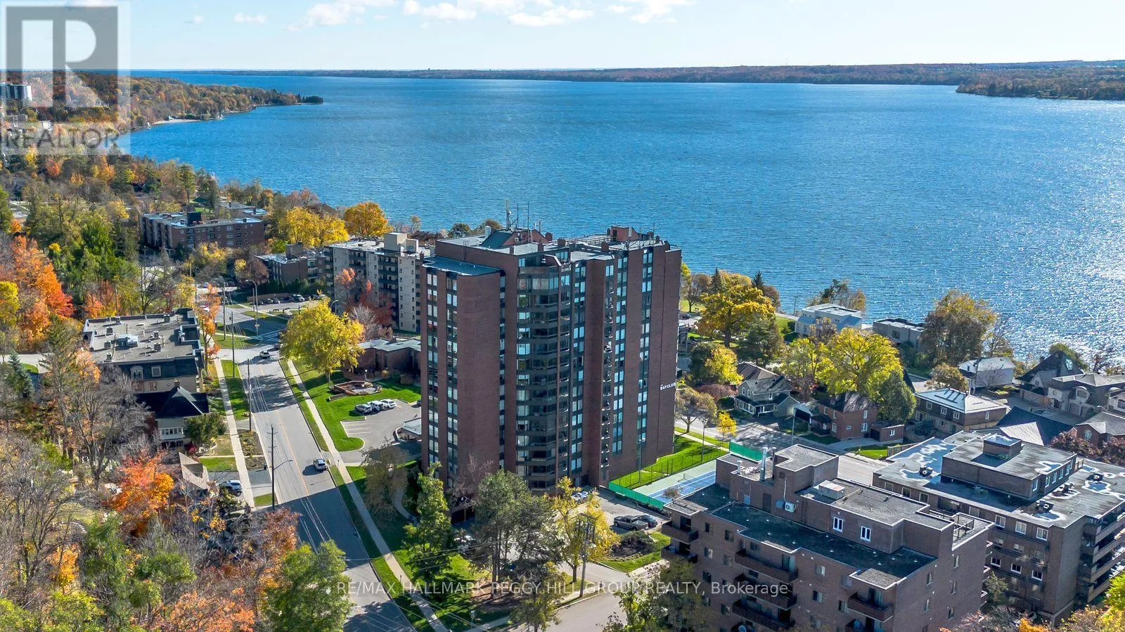 Apartment for rent: 803 - 181 Collier Street, Barrie, Ontario L4M 5L6