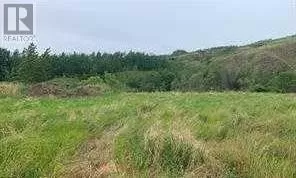 8201 98 Street, Peace River, Alberta T8S 1S4