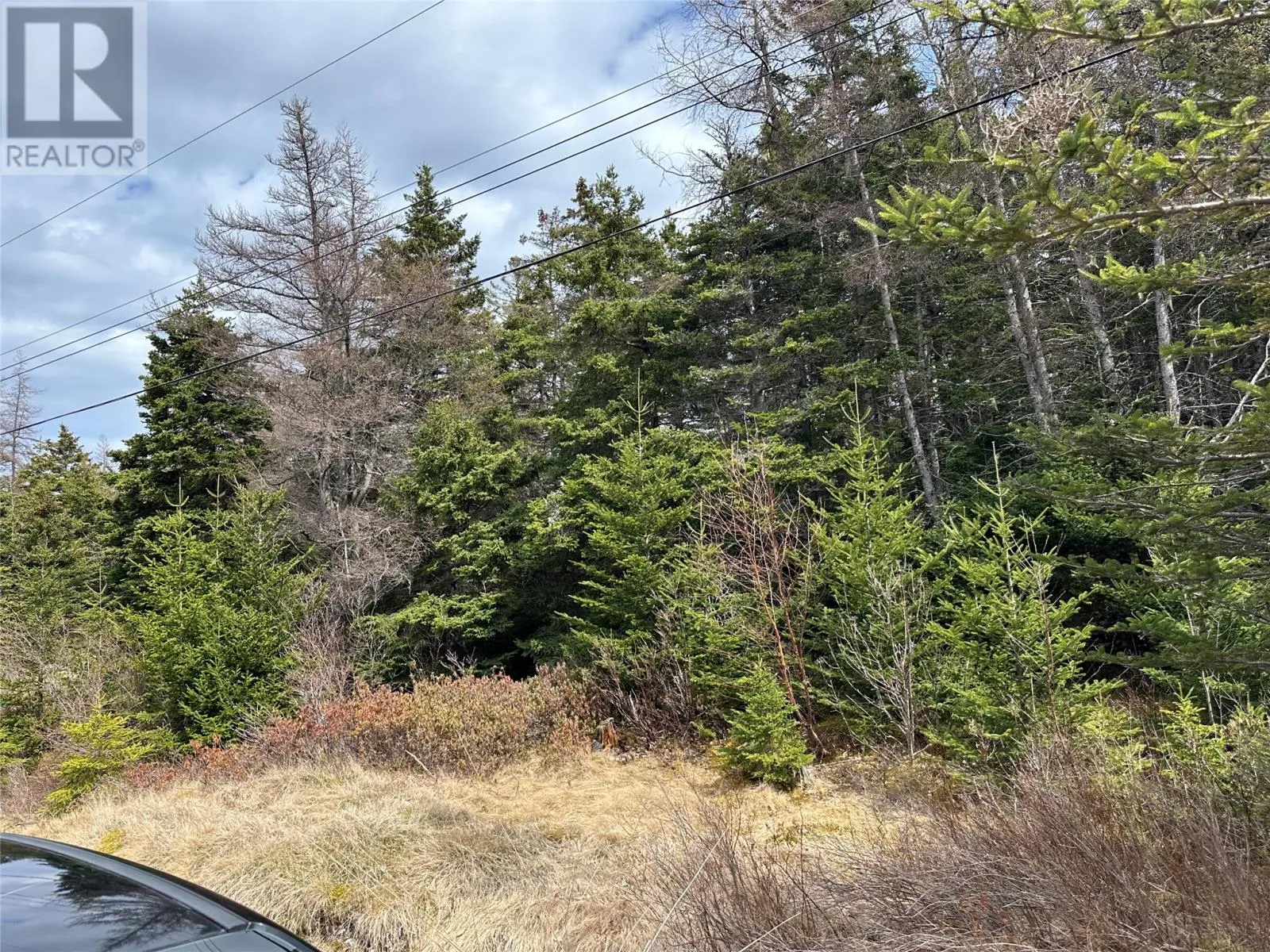 83-84 Conception Bay Highway, Colliers, Newfoundland & Labrador A0A 1Y0