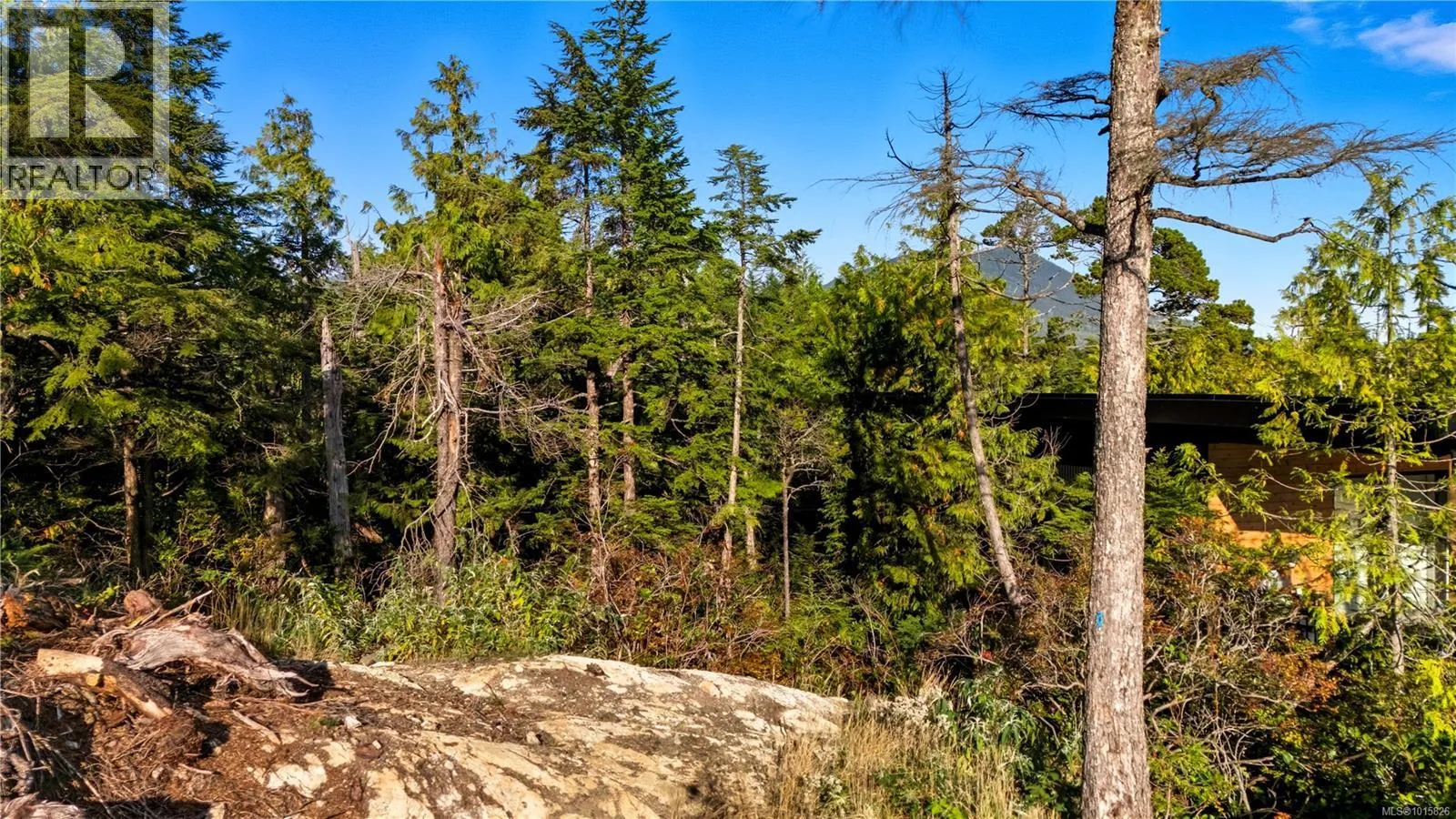 851 Lorne White Pl, Ucluelet, British Columbia V0R 3A0