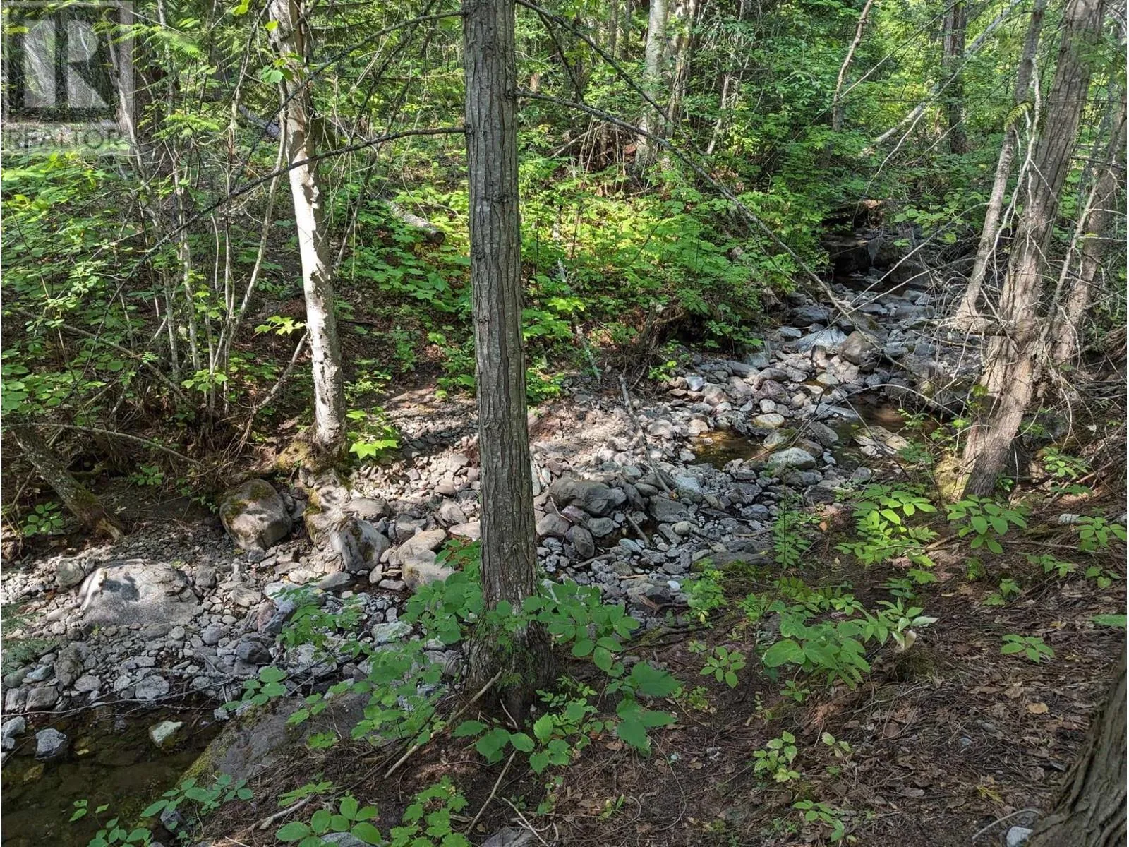 Other for rent: 8569 Black Mountain Road, Chase, British Columbia V0E 1M0