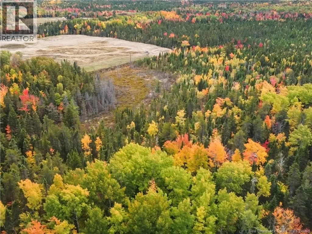 867 Pine Glen Road, Riverview, New Brunswick E1J 1R7