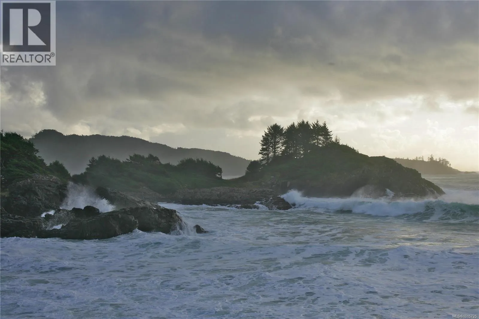 871 Moser Pl, Tofino, British Columbia V0R 2Z0