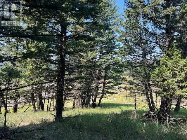 8717 24 Avenue, Coleman, Alberta T0K 0M0