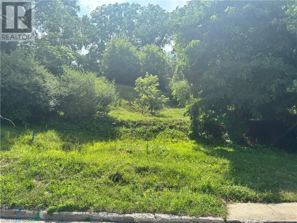 89 Dumfries Street, Paris, Ontario N3L 2E5