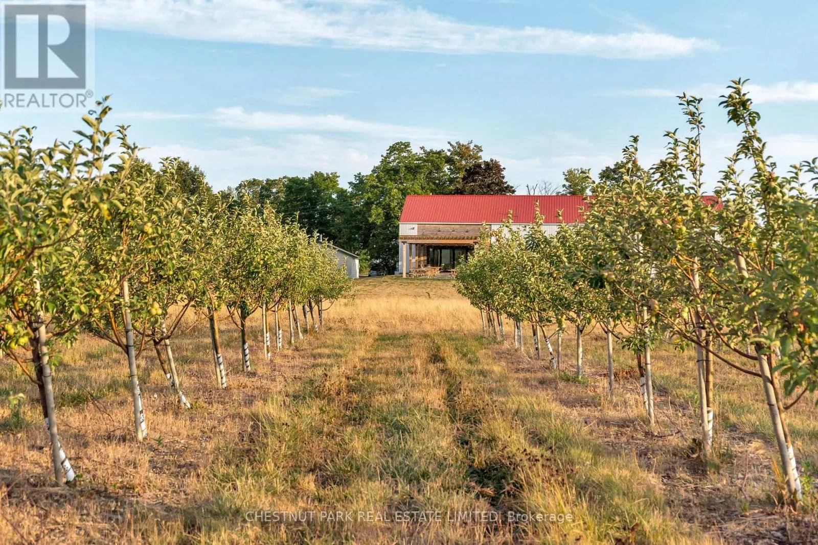 890 Danforth Road, Prince Edward County, Ontario K0K 2J0