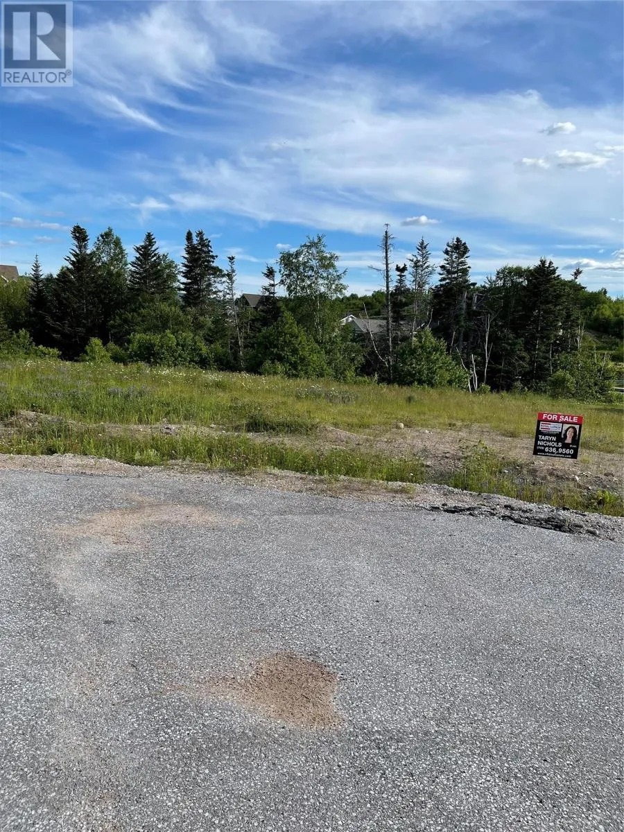 8a Jacks Place, Deer Lake, Newfoundland & Labrador A8A 0C3