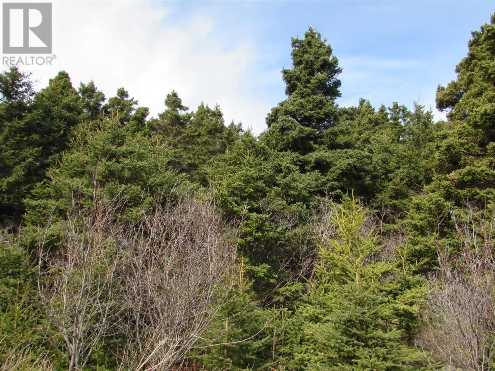 9 Cove Road, Colliers, Newfoundland & Labrador A0A 1Y0