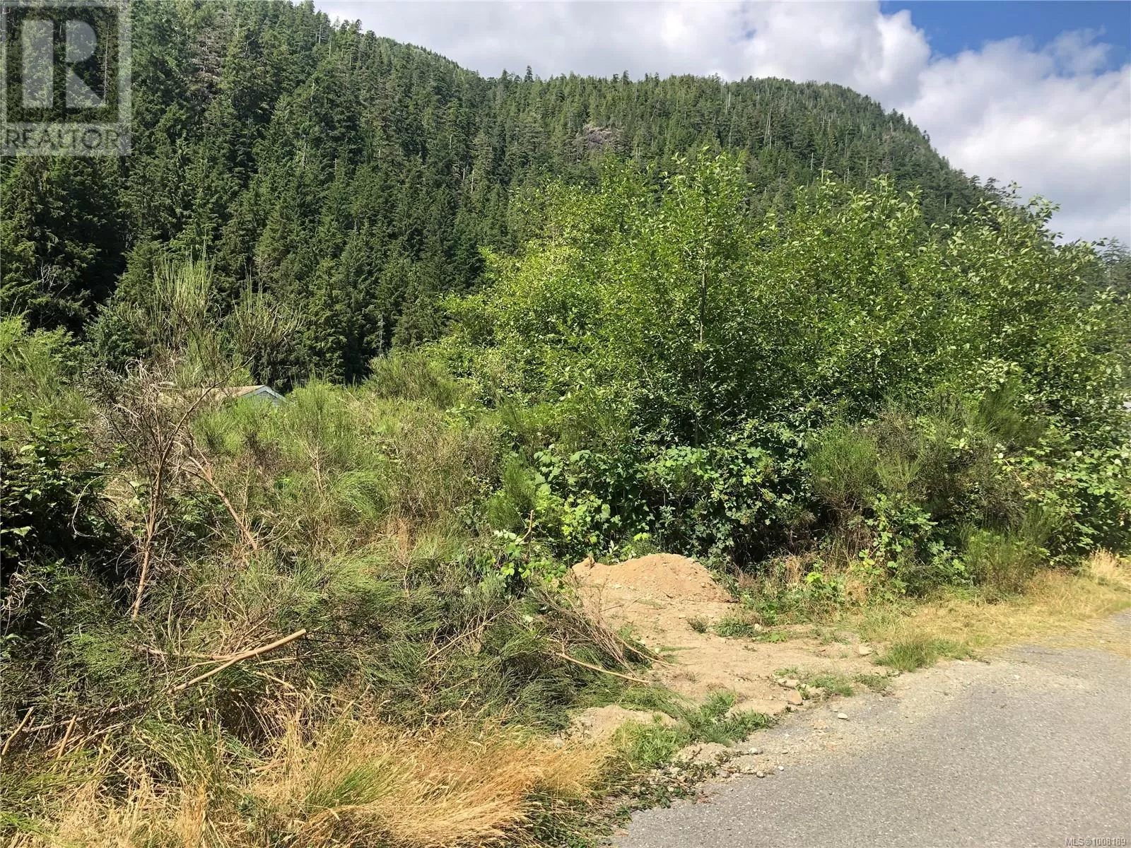 9 Freda Rd, Tahsis, British Columbia V0P 1X0