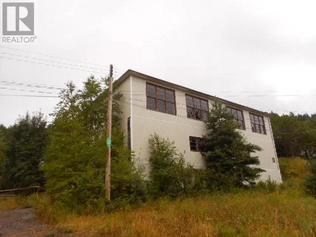 Other for rent: 9 Maple Street, Springdale, Newfoundland & Labrador A0J 1T0