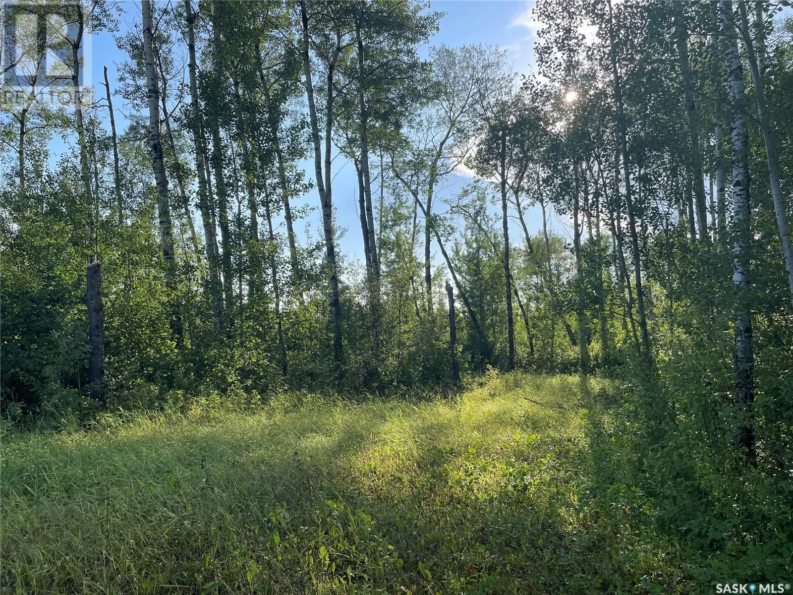 Unknown for rent: 9 Northwood Crescent, Big River Rm No. 555, Saskatchewan S0J 0E0