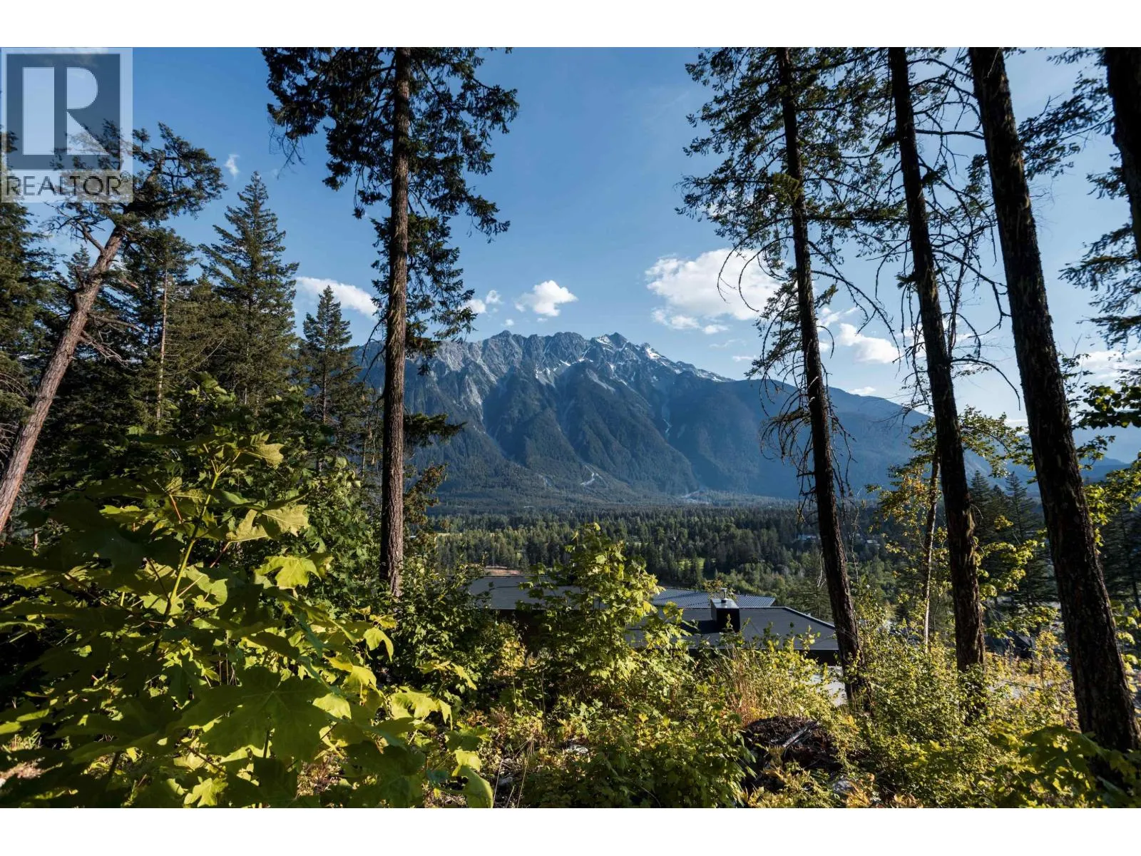 9000 Sun God Mountain Way, Pemberton, British Columbia V0N 2L3