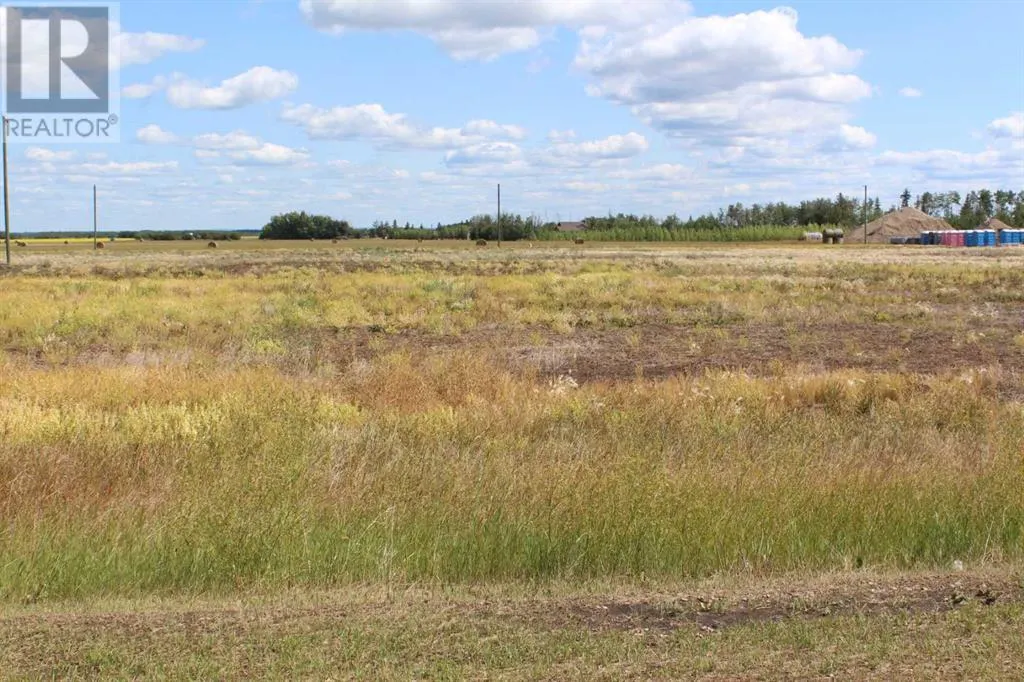 901 Main Street, Manning, Alberta T0H 2M0