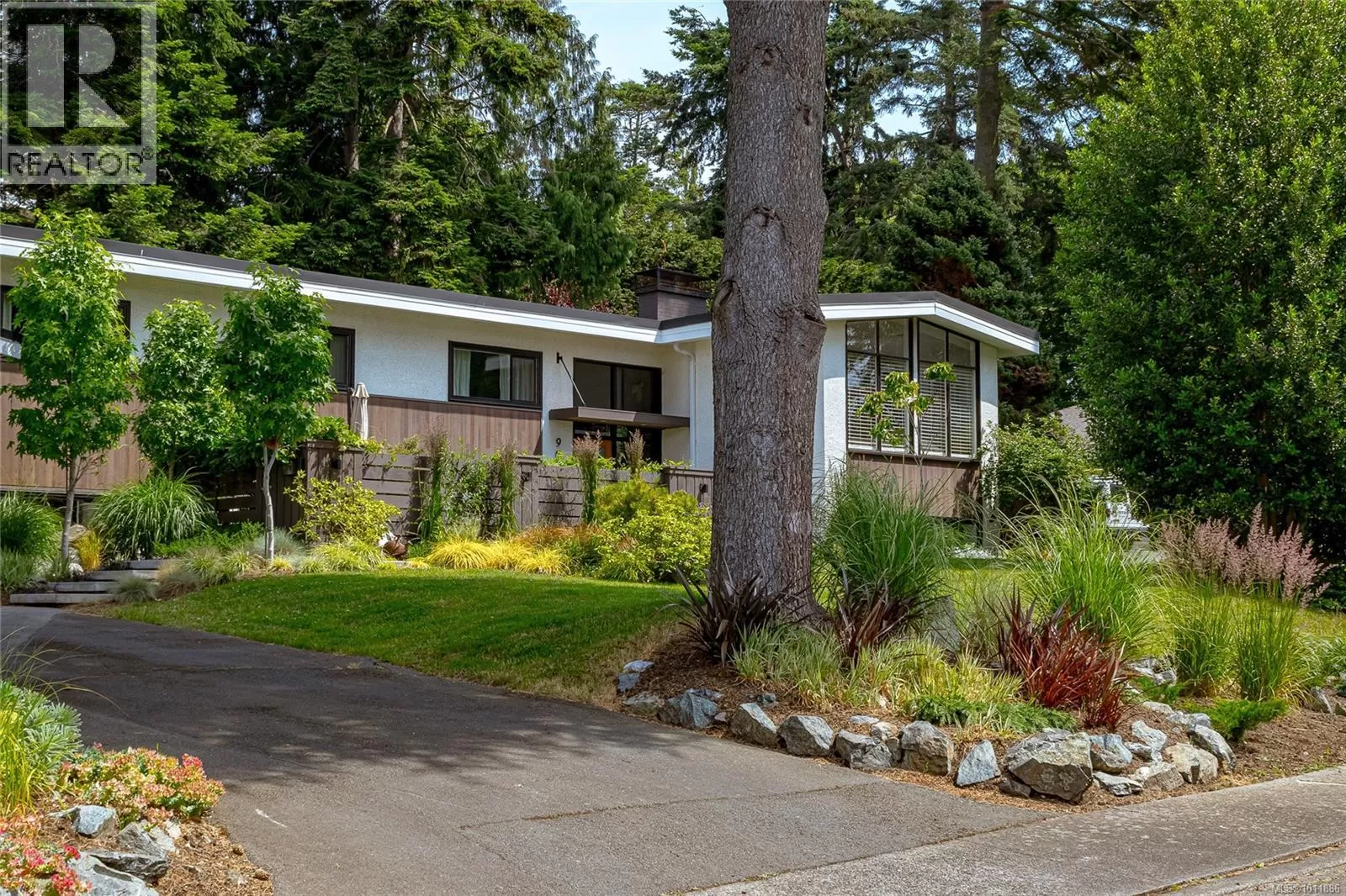 House for rent: 905 Deal St, Oak Bay, British Columbia V8S 5G4