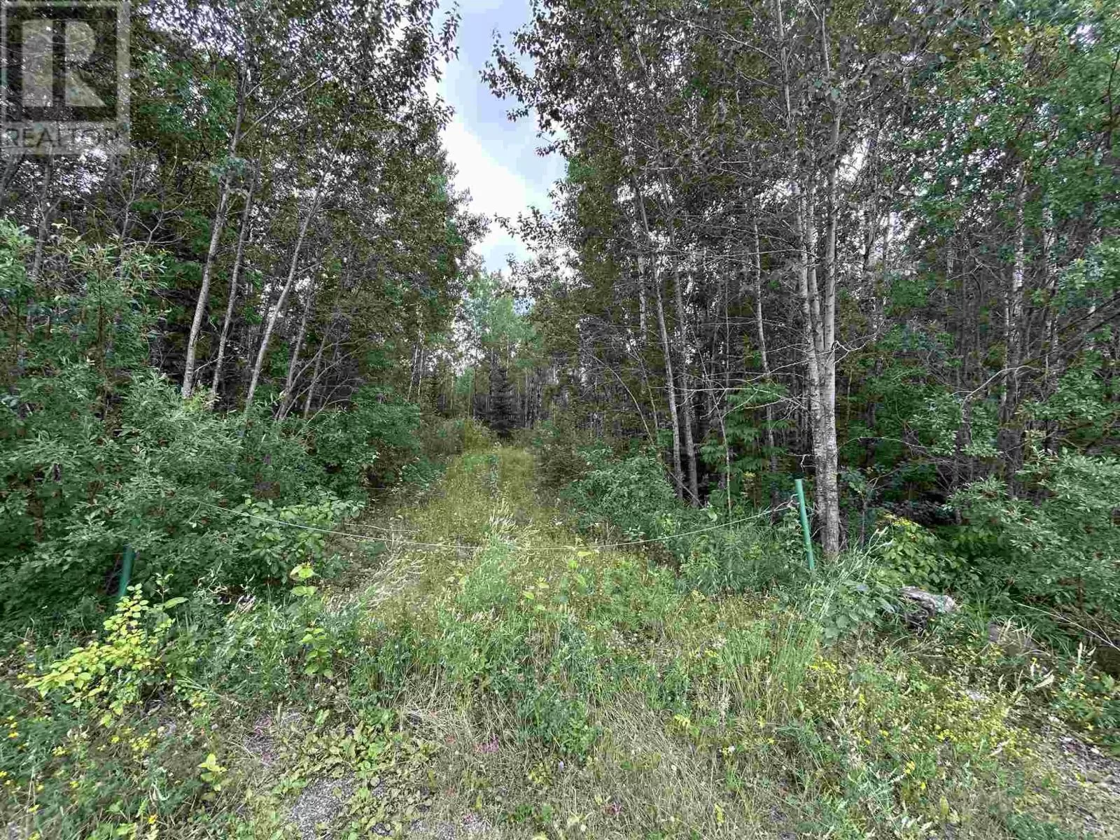 905 Frog Creek Rd, Alberton, Ontario P9A 3M2