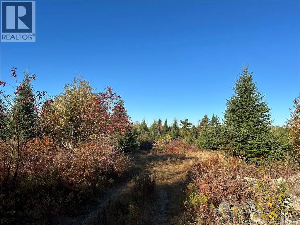 Recreational for rent: 91 Midland Road, Mechanic Settlement, New Brunswick E4E 4K4