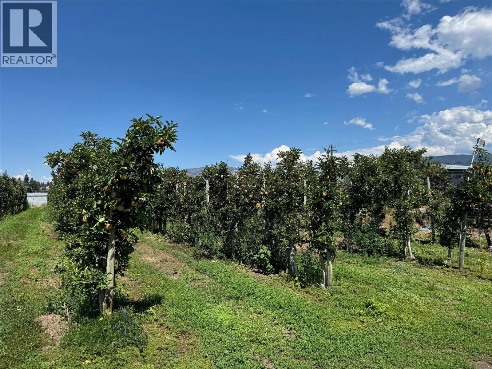 Other for rent: 9105 Jones Flat Road, Summerland, British Columbia V0H 1Z6