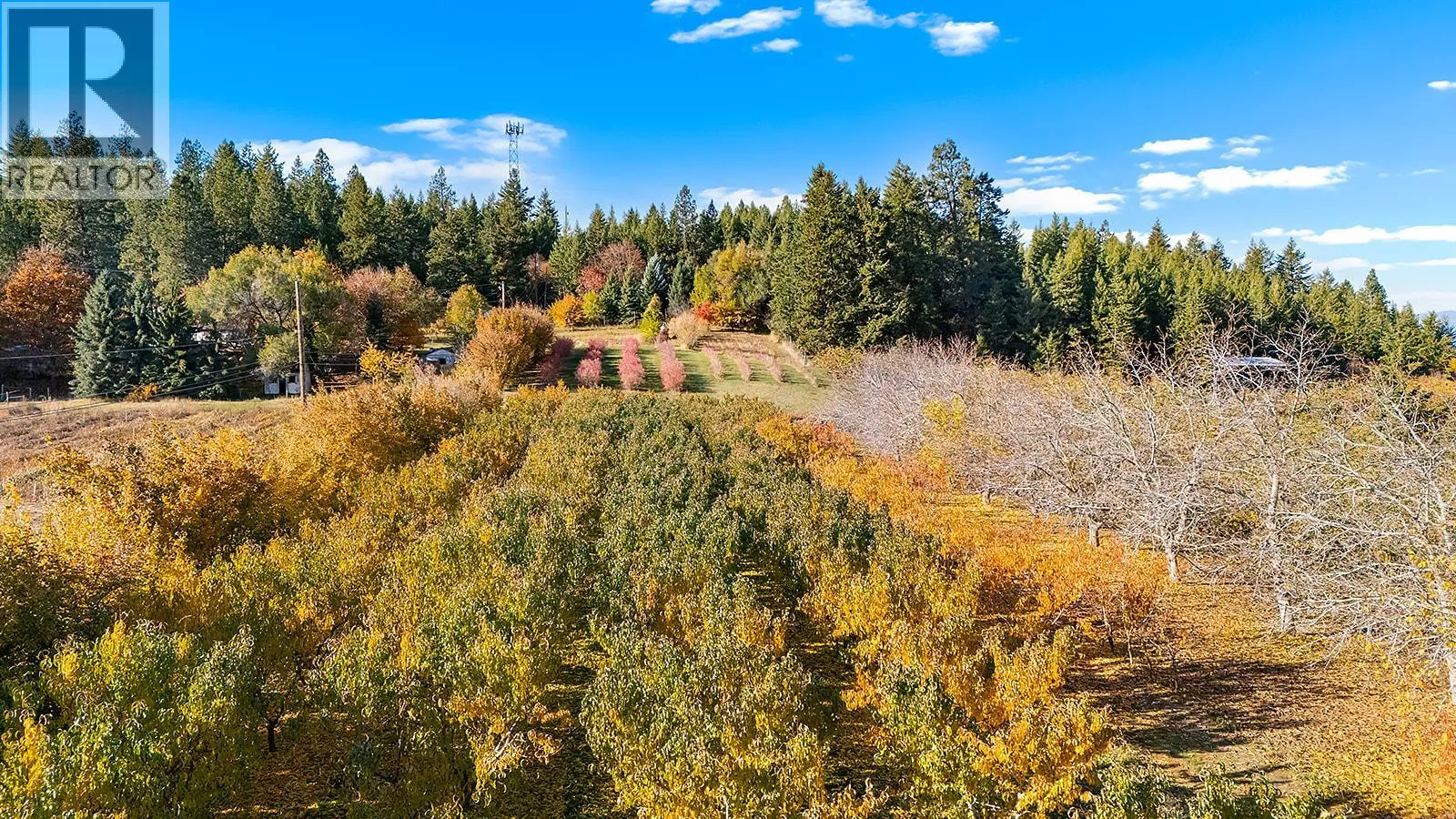 Other for rent: 911 32nd Avenue S, Erickson, British Columbia V0B 1G1