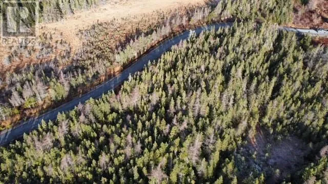 9-11 Terrys Road, Avondale, Newfoundland & Labrador A0A 1B0