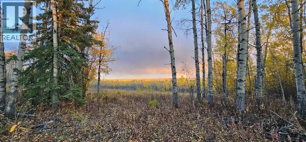 92 Range, Rural Saddle Hills County, Alberta T0H 0G0