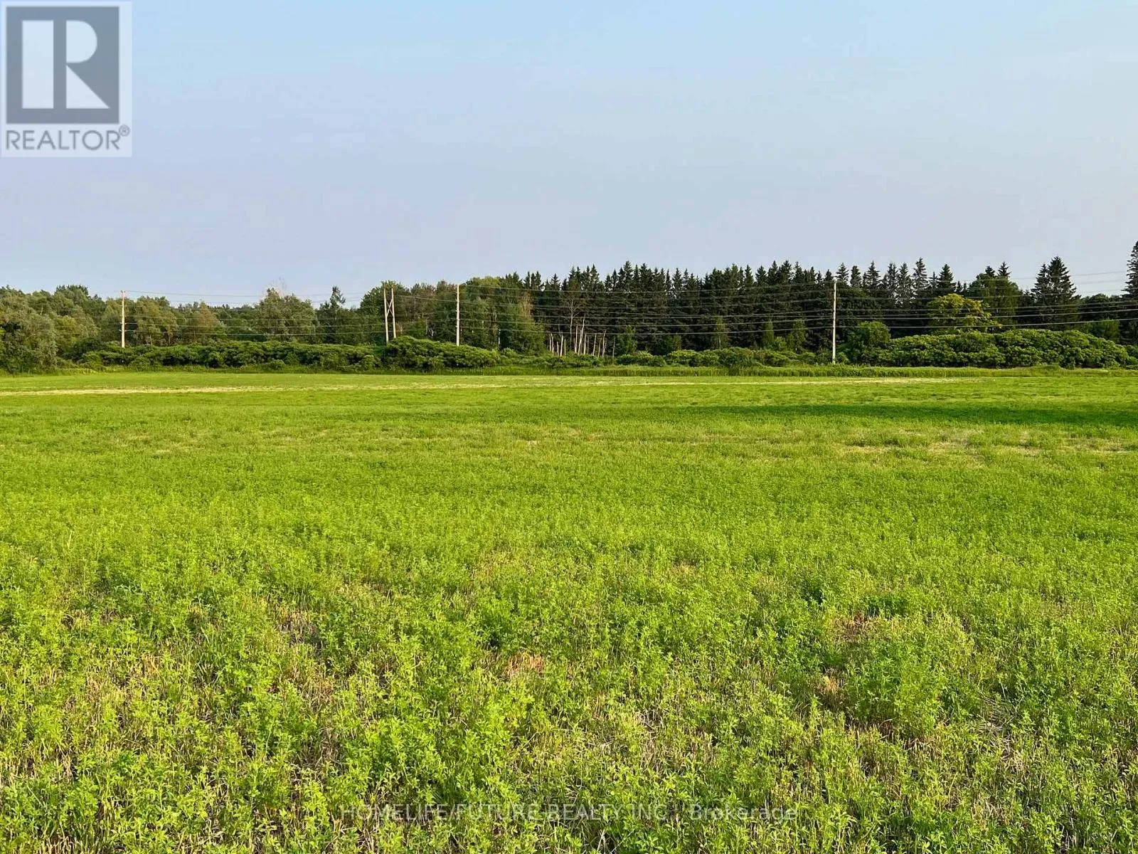 925 Townline Road N, Clarington, Ontario L1H 8L7