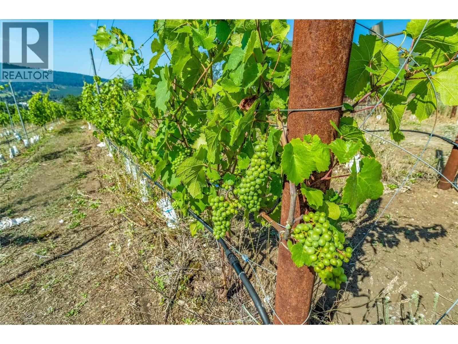 Other for rent: 9269 Highway 6, Coldstream, British Columbia V1B 3B5