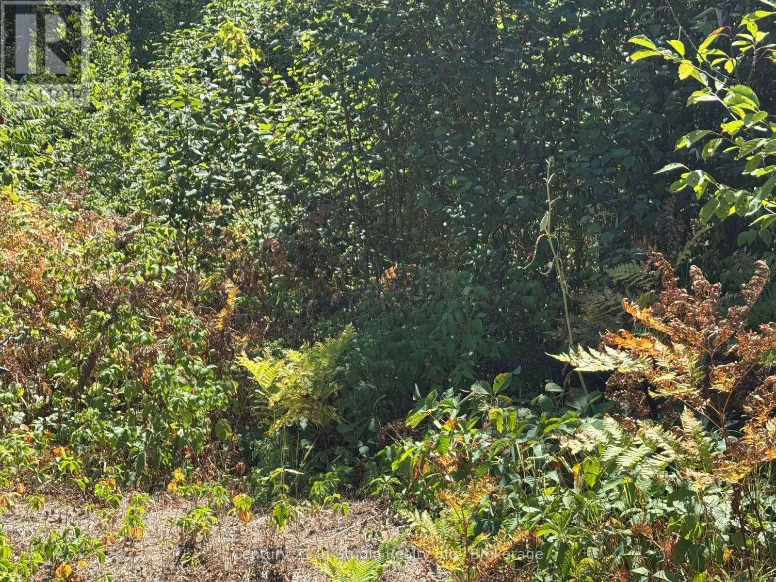 931 River Road E, Wasaga Beach, Ontario L9Z 2P4