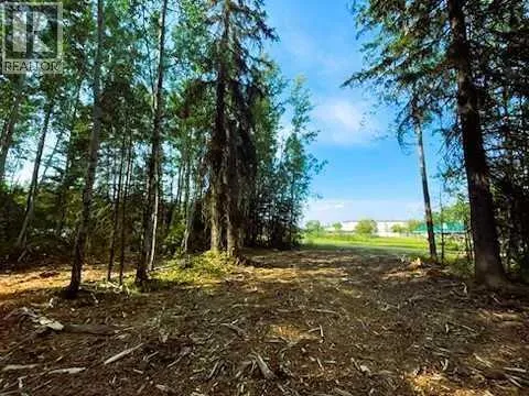 931 Wolf Trail, Sandy Lake, Alberta T0G 2K0