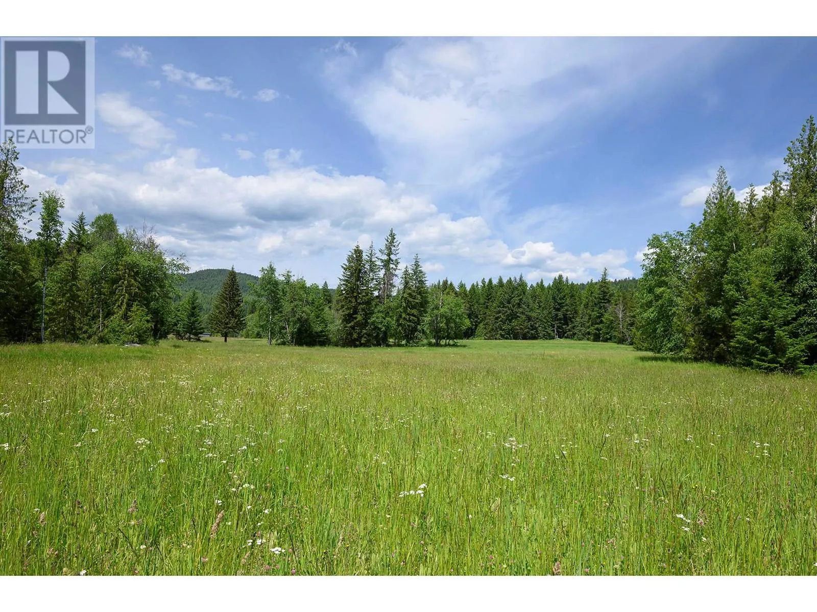 Other for rent: 937 Clearwater Village Road, Clearwater, British Columbia V0E 1N1