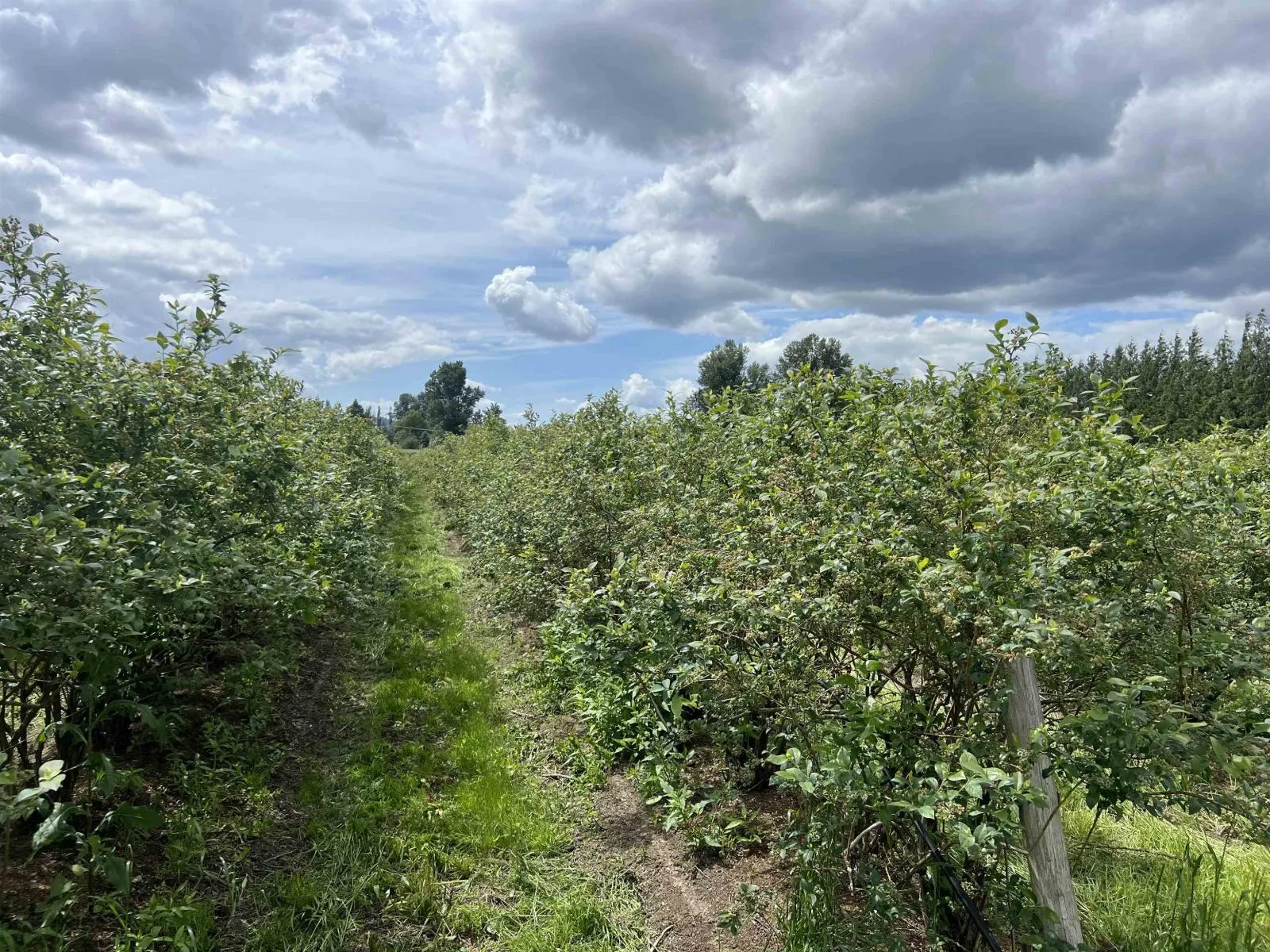 9445 Catherwood Road, Mission, British Columbia V0M 1H0