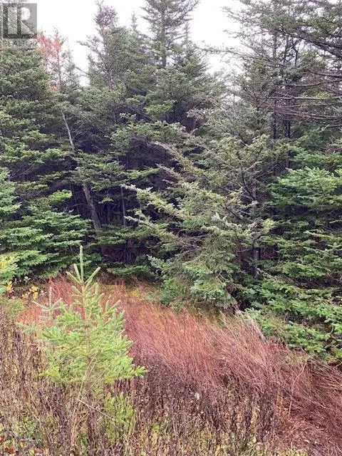 94-96 Highway East, Victoria, Newfoundland & Labrador A0A 4G0