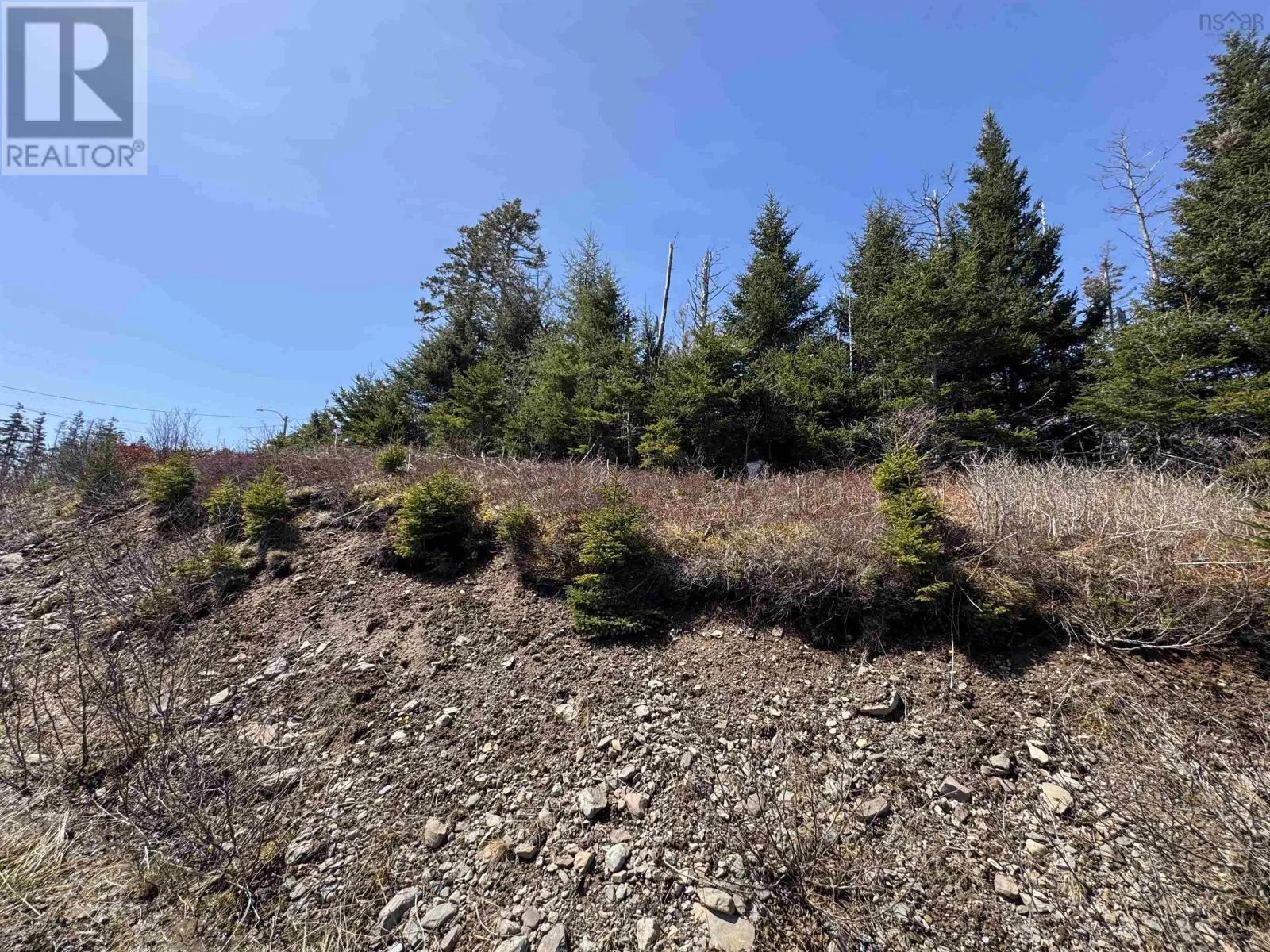 96 Clannon Road, Little Harbour, Nova Scotia B0E 1W0