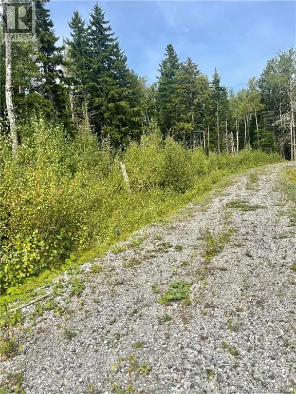 96 Hilltop Drive, Hampton, New Brunswick E5N 5P2