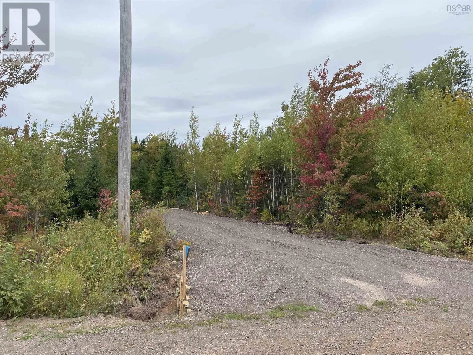 967 College Grant Road, East Branch, Nova Scotia B0K 1R0