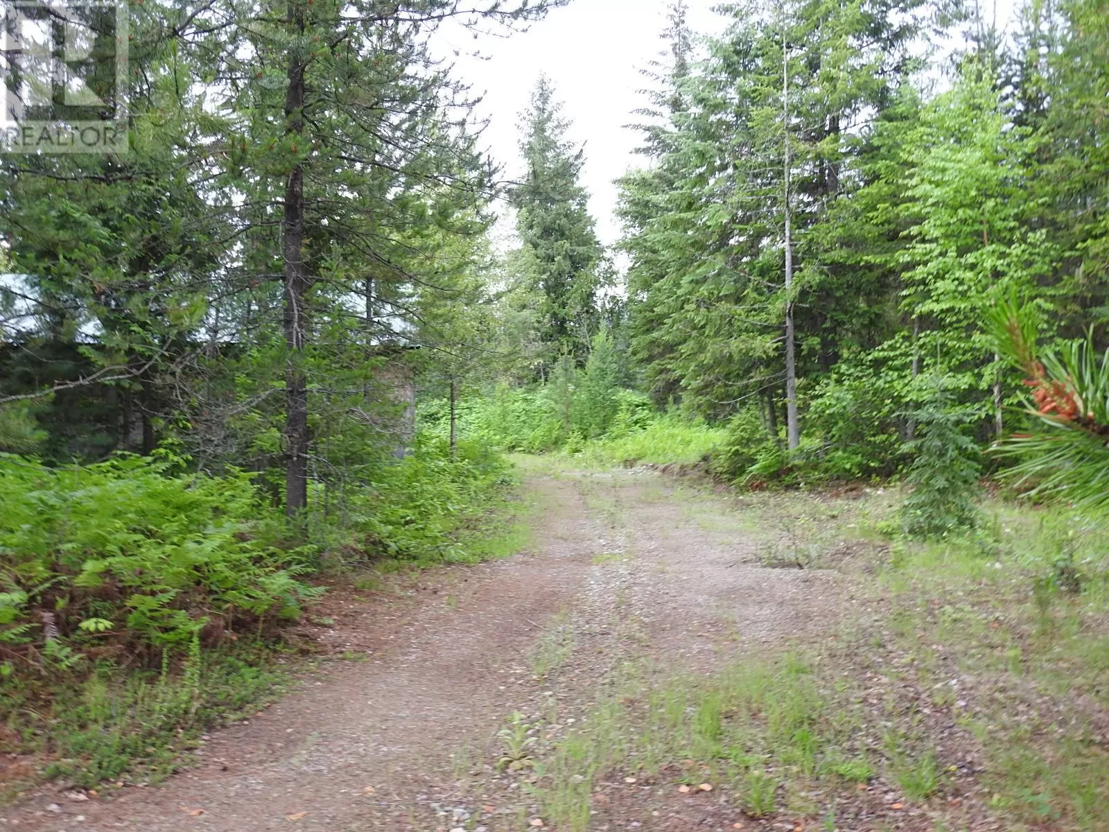 Other for rent: 9700 6 Highway, Edgewood, British Columbia V0G 1J0